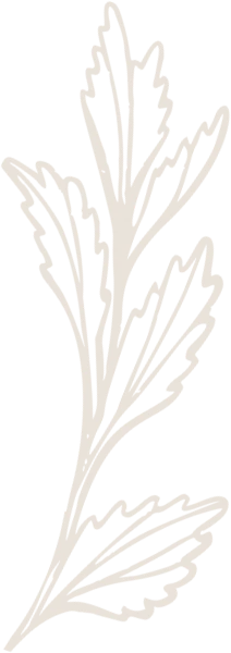 hero flower image