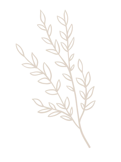 f11 flower image