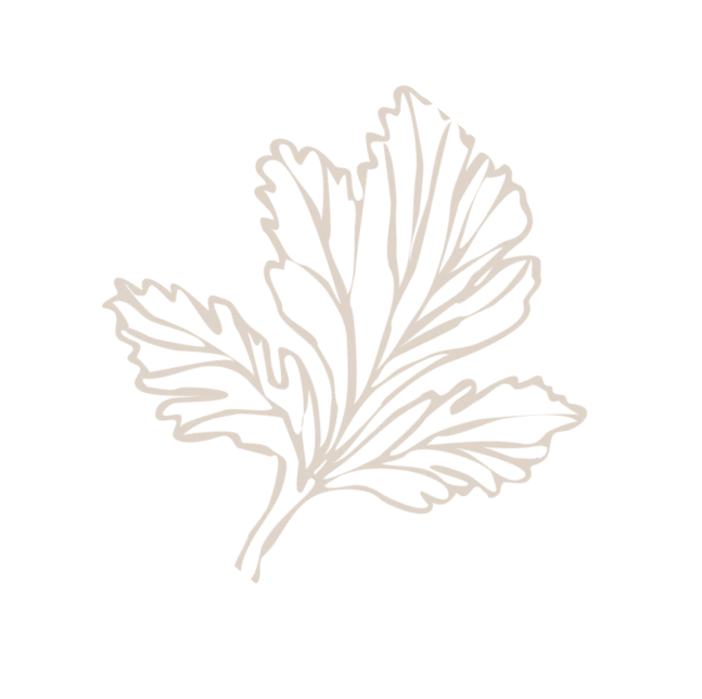 f18 flower image