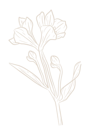 f5 flower image