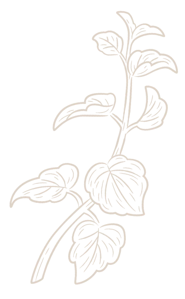f6 flower image